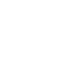 Workshops & facilitation